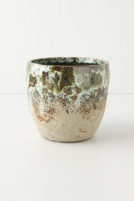 Umbellifers Herb Pot, Large Cup
