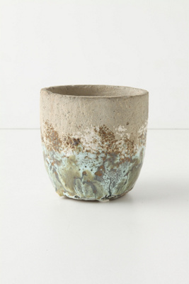 Umbellifers Herb Pot, Small Cup