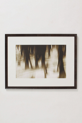 Ghost Wood, 2006-Ghost Wood, 2006
