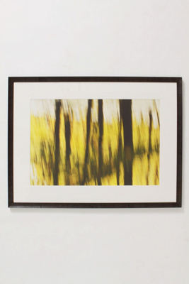 Trunks Over Yellow, 2004-Trunks Over Yellow, 2004