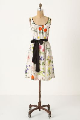 Anthropologie   Tuileries Dress  