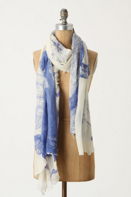 Ostrich Scarf - Anthropologie.com :  wool blue and white cashmere scarf