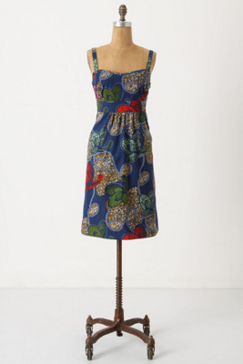 Ikinimba Dress Anthropologie com from anthropologie.com