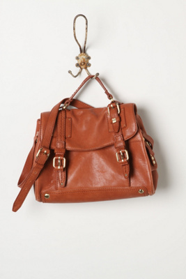 Ever-Present Satchel