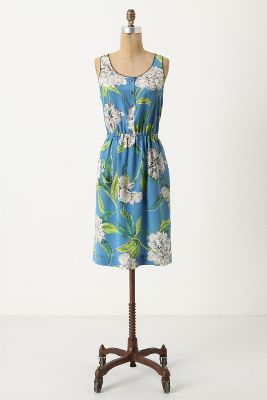 Anthropologie   Calliope Dress  