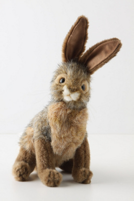 Jumpy Jackrabbit
