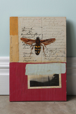 Bee By Tom Judd