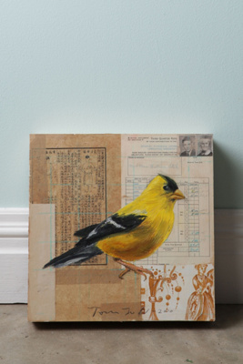 Yellow Bird By Tom Judd