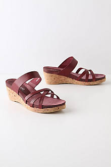 Berry-Stained Wedges