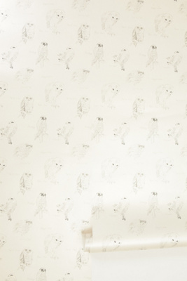 Little Owl Wallpaper