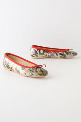 Neotropical Flats