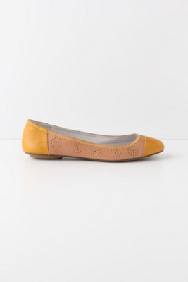 Amelia Flats