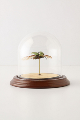 Hitherto Beetle Globe 