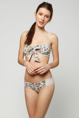 Bordered Lobelia Bikini
