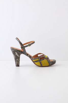 Autlan Heels
