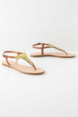 Sun-Scalloped T-Straps