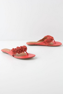 Blossomed Slides