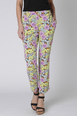 Petunia Crops