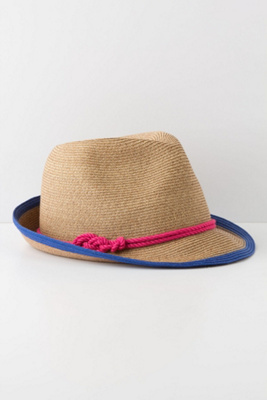 Emboldened Hues Fedora