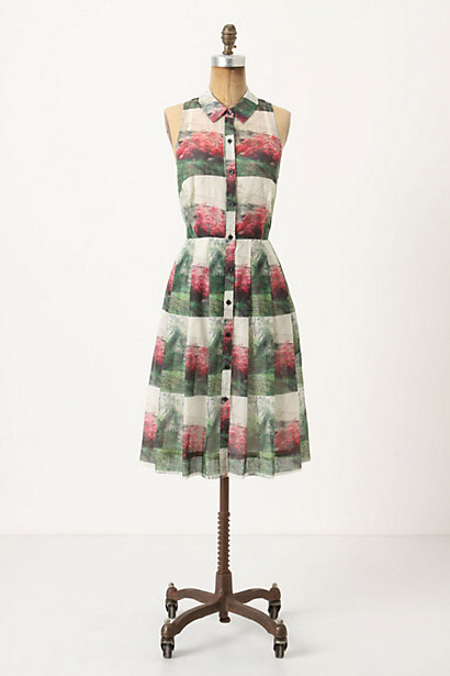 Crepe Myrtle print dress from Anthropologie