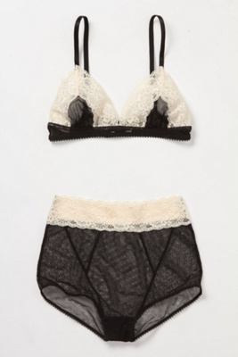 Night Aster Set