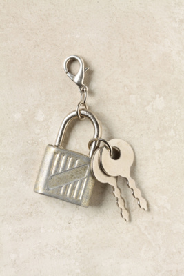 The Collector's Charm, Lock & Key