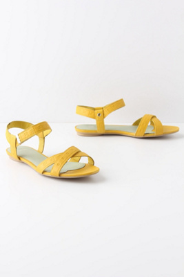 Ruled & Reasoned Sandals