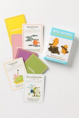 Big Words Flashcards