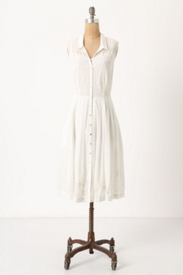 Spiraea Shirtdress, Petite