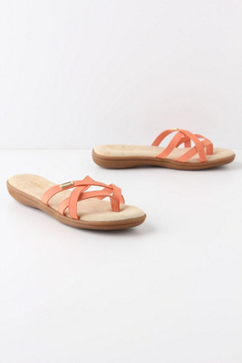 Sun-Kissed Slides