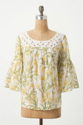 Early Daffodils Top