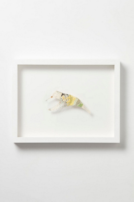 Hummingbird Geological By Claire Brewster