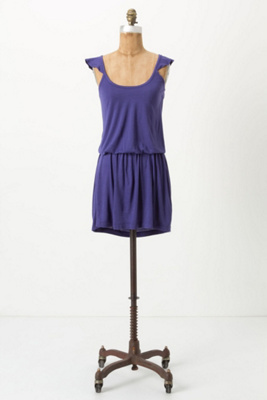 Winged Dropwaist Chemise