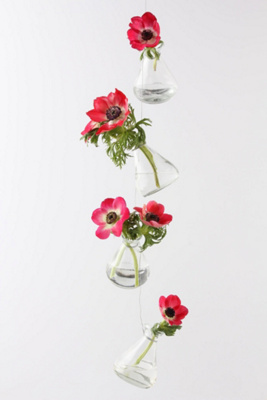 Hanging Vase Strand