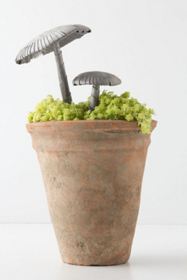 Zinc Garden Mushroom