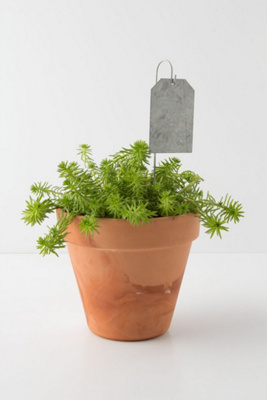 Galvanized Plant Markers
