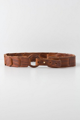 Continuous Belt