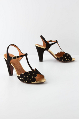 Searchlight T-Straps