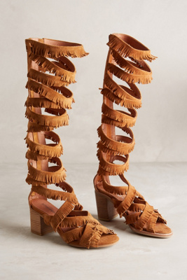 jeffrey campbell gladiator heels