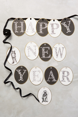 Wild Masquerade New Years Banner