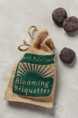 Coal Briquette Seed Bombs