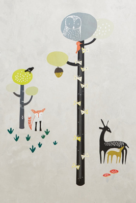 Tall Tree Growth Chart