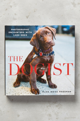 The Dogist