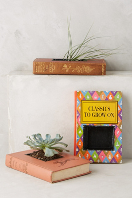 Bibliotheque Planter