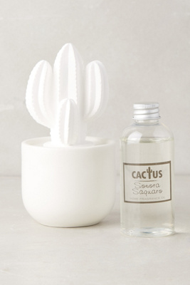 Cactus Porcelain Diffuser