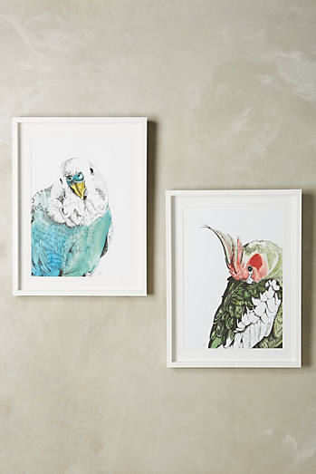 Cockatoo Wall Art