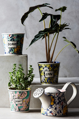 take root gardening collection