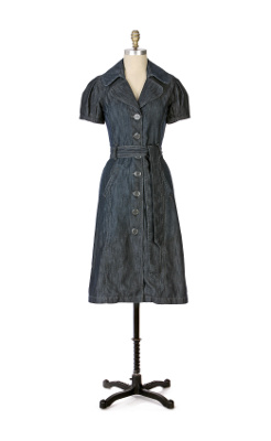 Trench Coat Dress