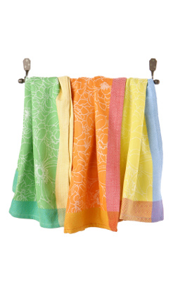 citrus dishtowels