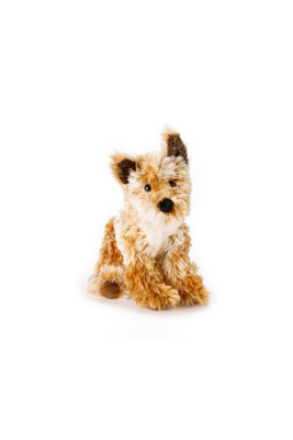 tess terrier